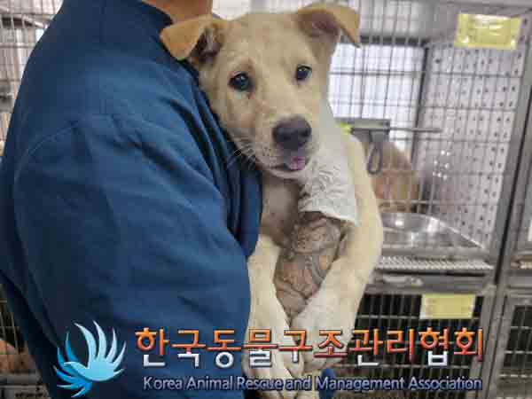 한국동물구조관리협회_441409202401549